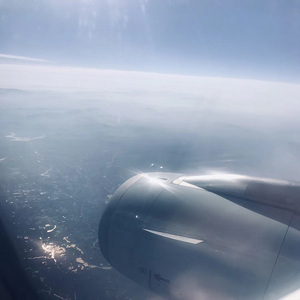 俏寡妇与她的爱犬免费阅读最新章节
