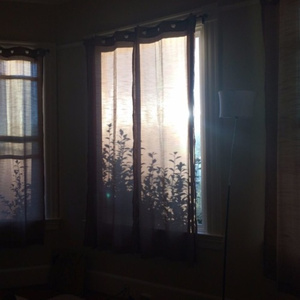 俏寡妇与她的爱犬免费阅读最新章节
